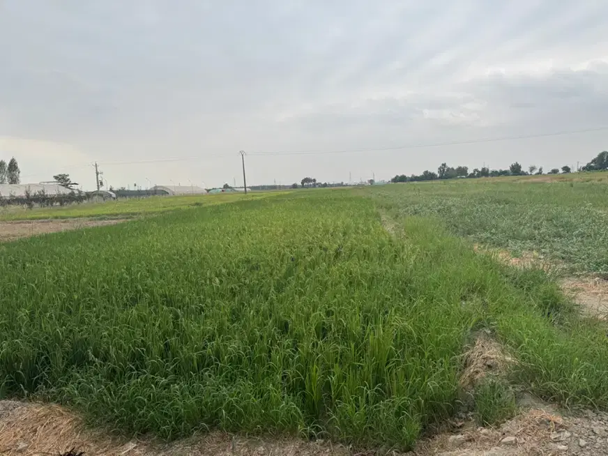 زمین بر اتوبان