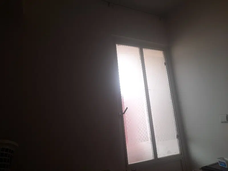 هم خانه همخونه خانم