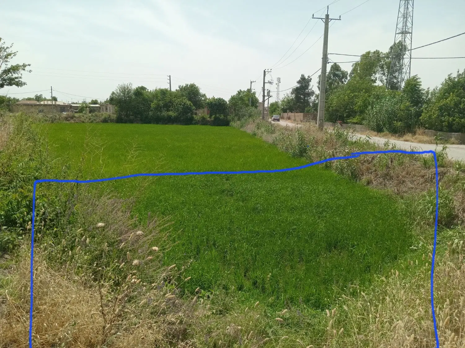 فروش زمین مسکونی