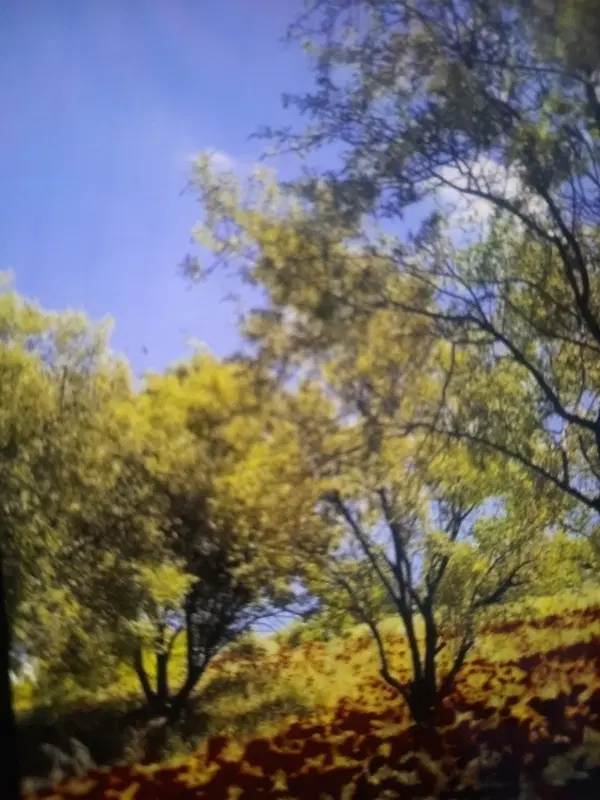 باغ شخصی در محدوده ۵ کیلومتری