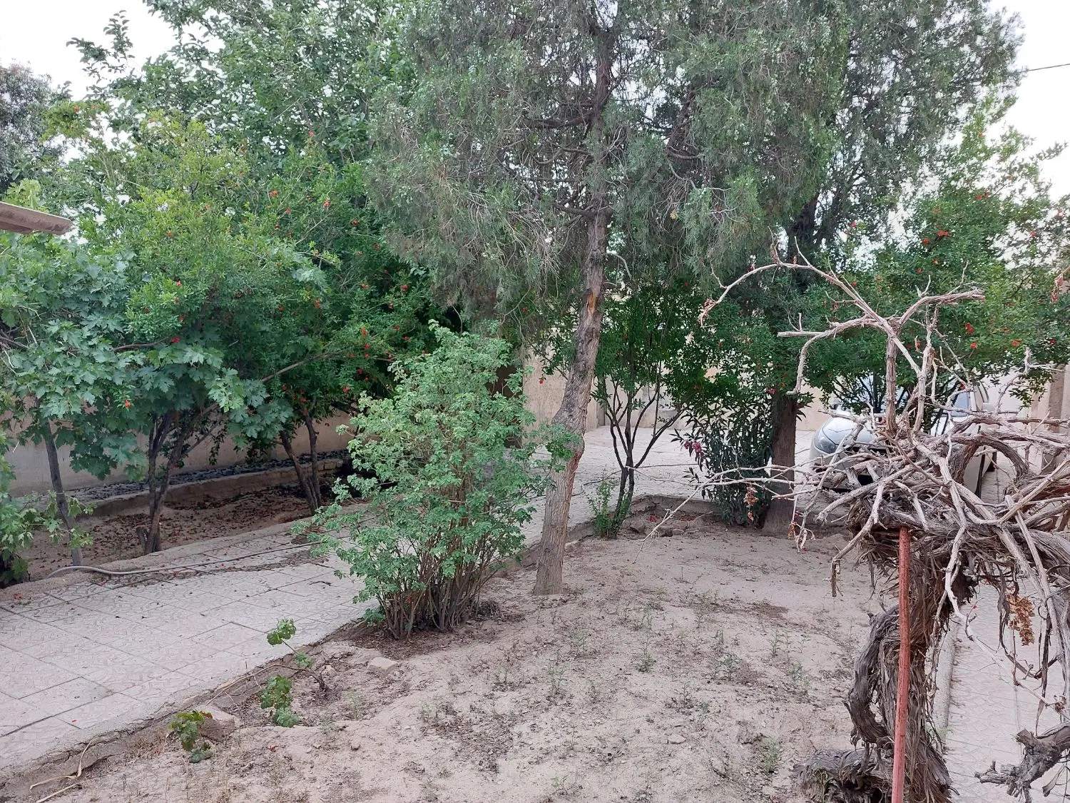 ویلای دنج برای خانواده باآرامش