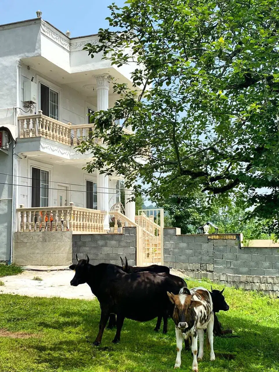 چهار خواب دربستی با تمام امکانات