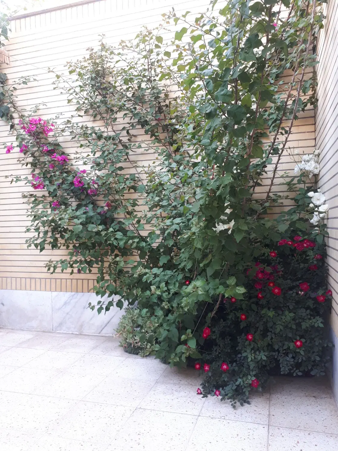 زمین ۳۰۰ متری در دشت وشاد(هاشم اباد) آران