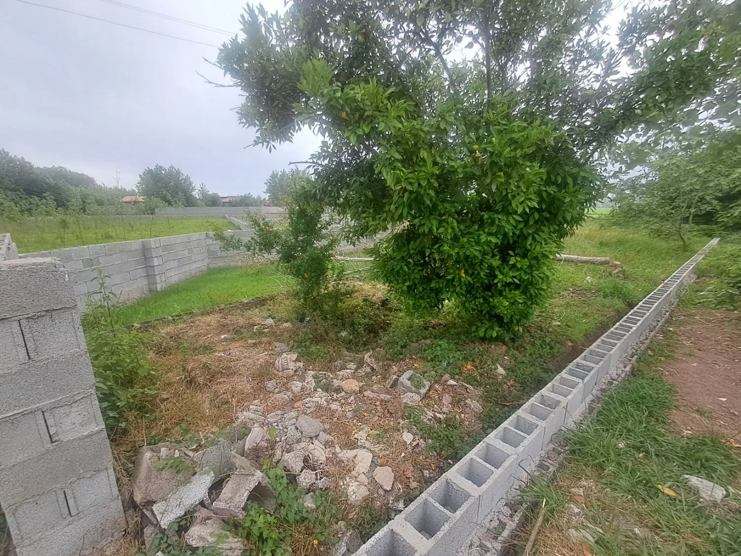 زمین مسکونی