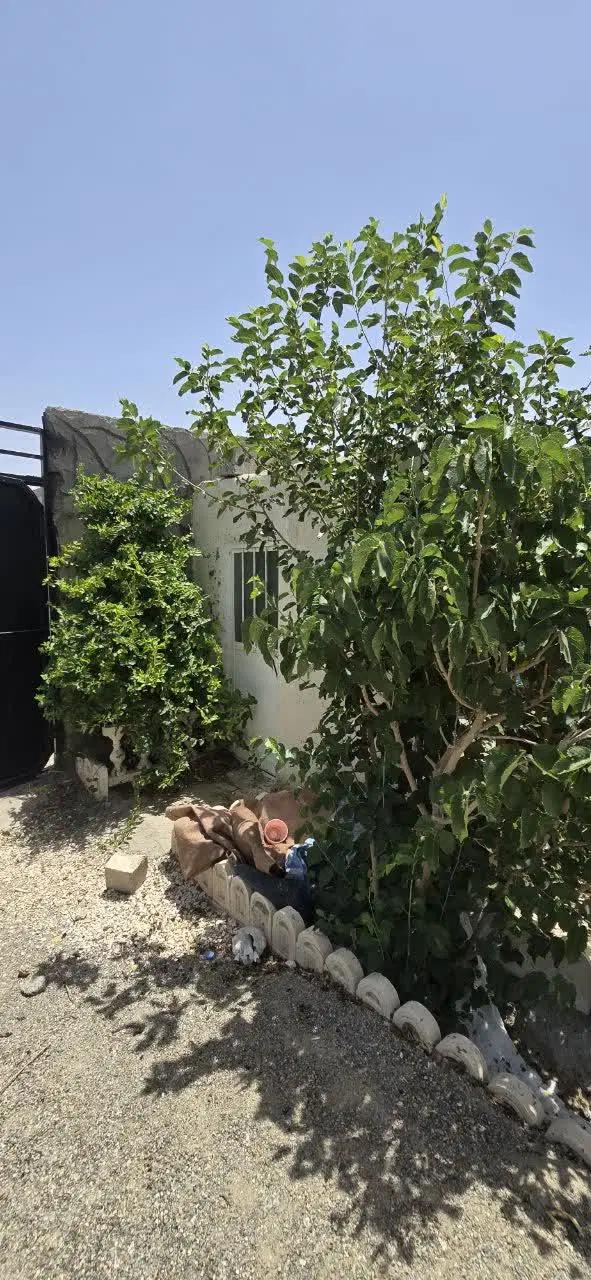 باغ مرکزشهر معاوضه با اطلس پژو پارس 405 دنا 207 و.