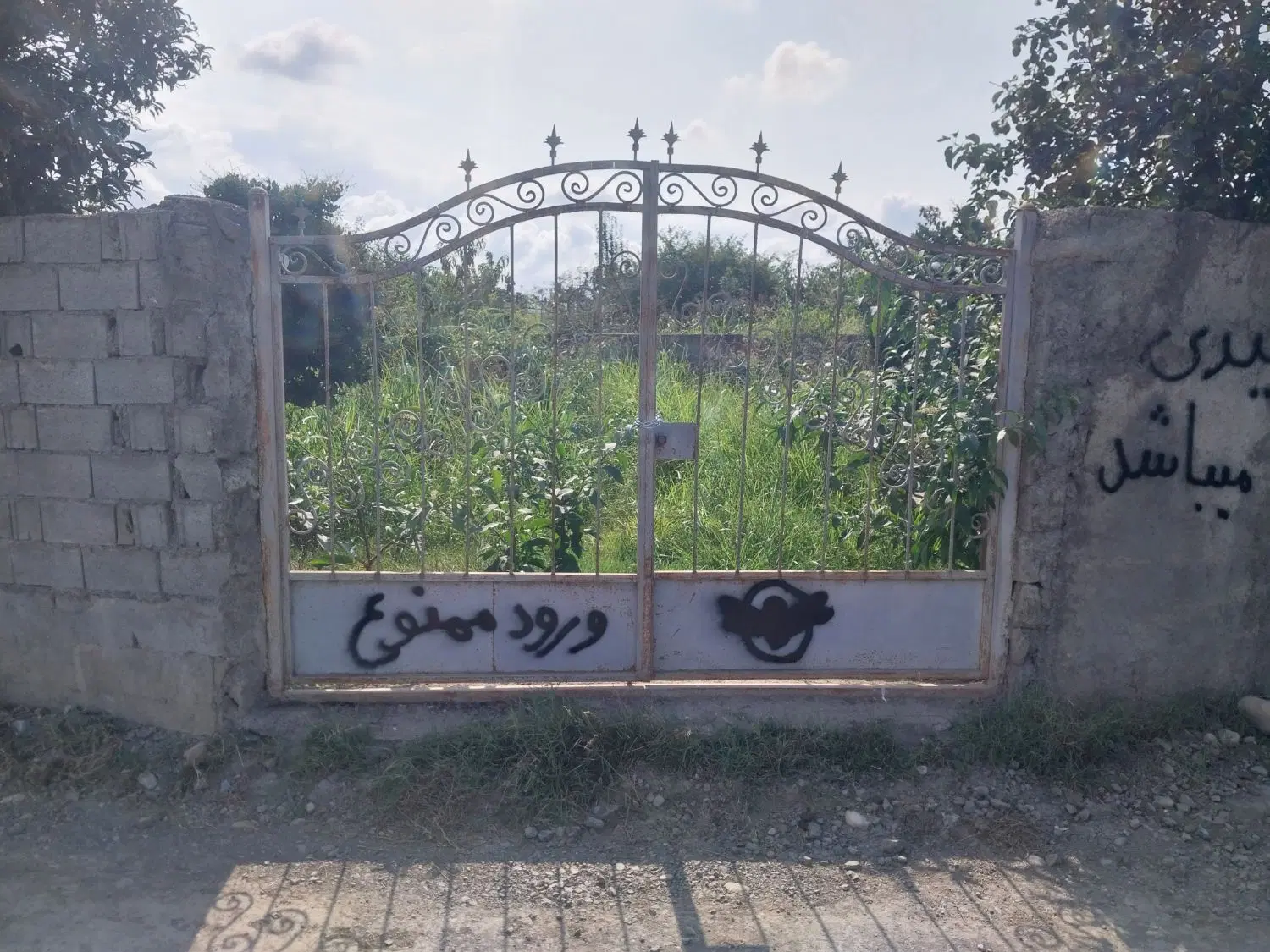 زمین ۴ دیواری  با درختان مرکبات