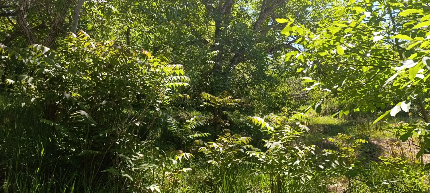 اجاره ماهانه واحد مبله روستایی