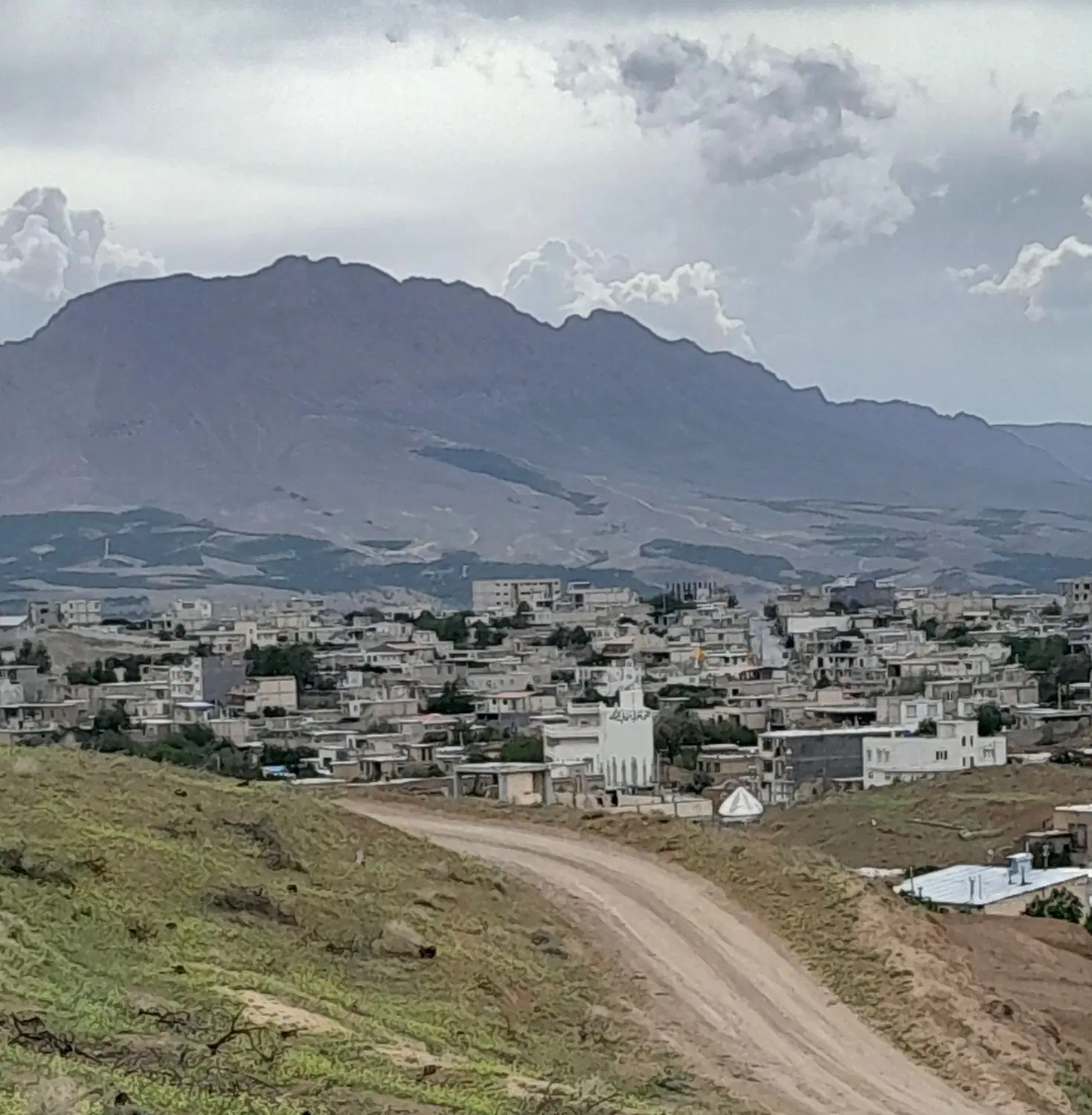 ۲۰۰۰ باغ با سند تک برگ