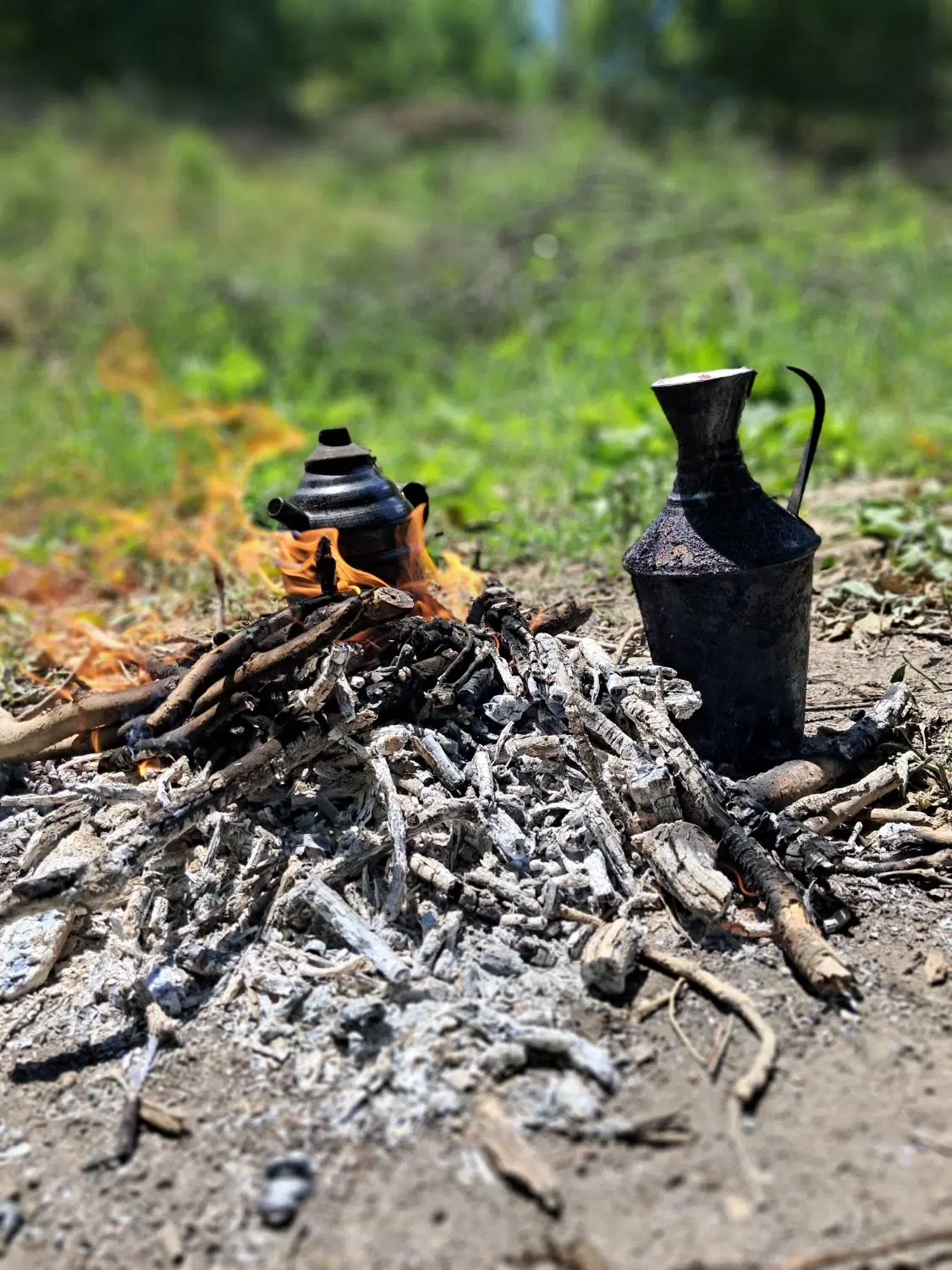 زمین اجاره‌ ای زعفران