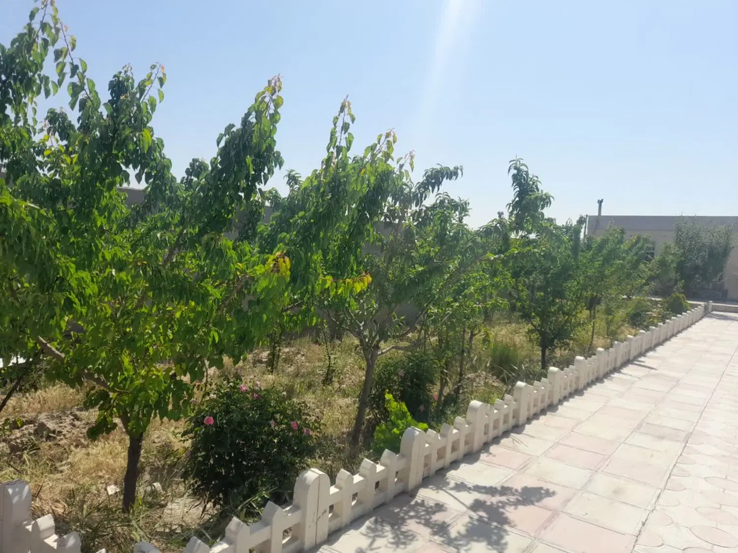 زمین 320متری حاشیه جاده اصلی