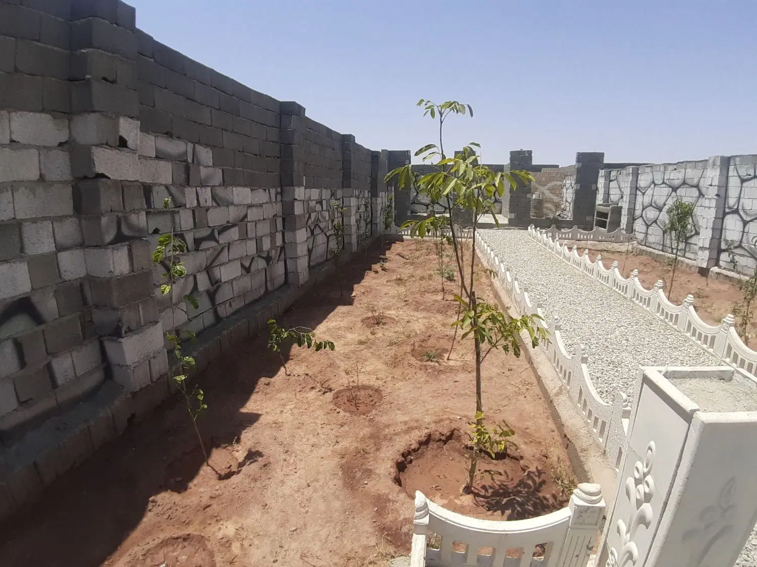 باغچه240 متری سند دار