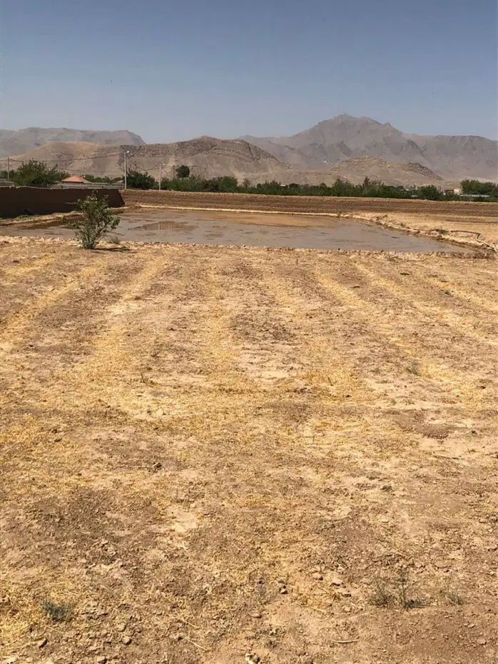 ۵ هزار متر زمین اصفهان