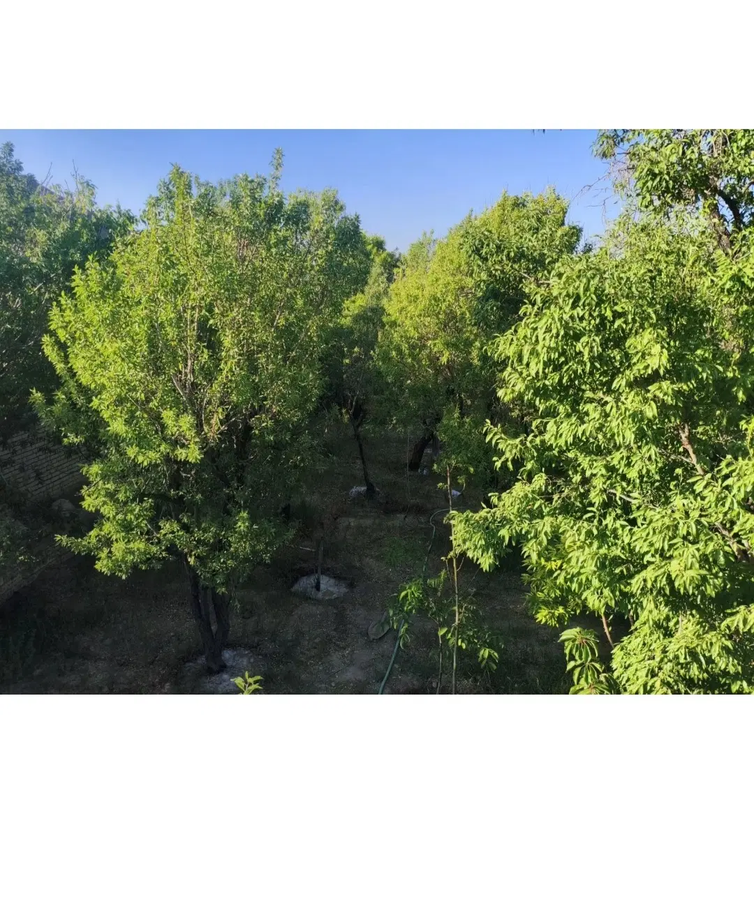 خونه باغ سانیچ سلطانب