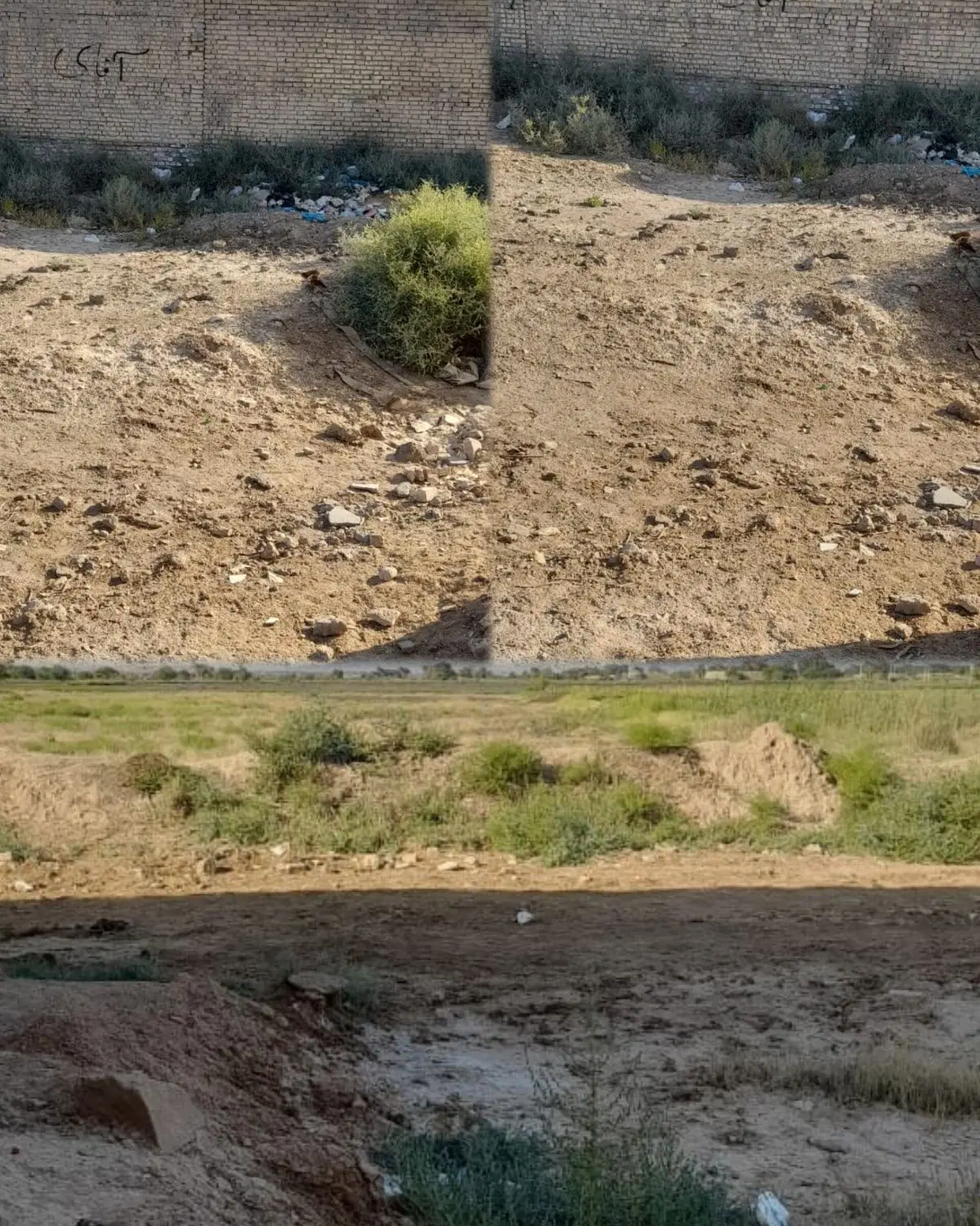 زمین
