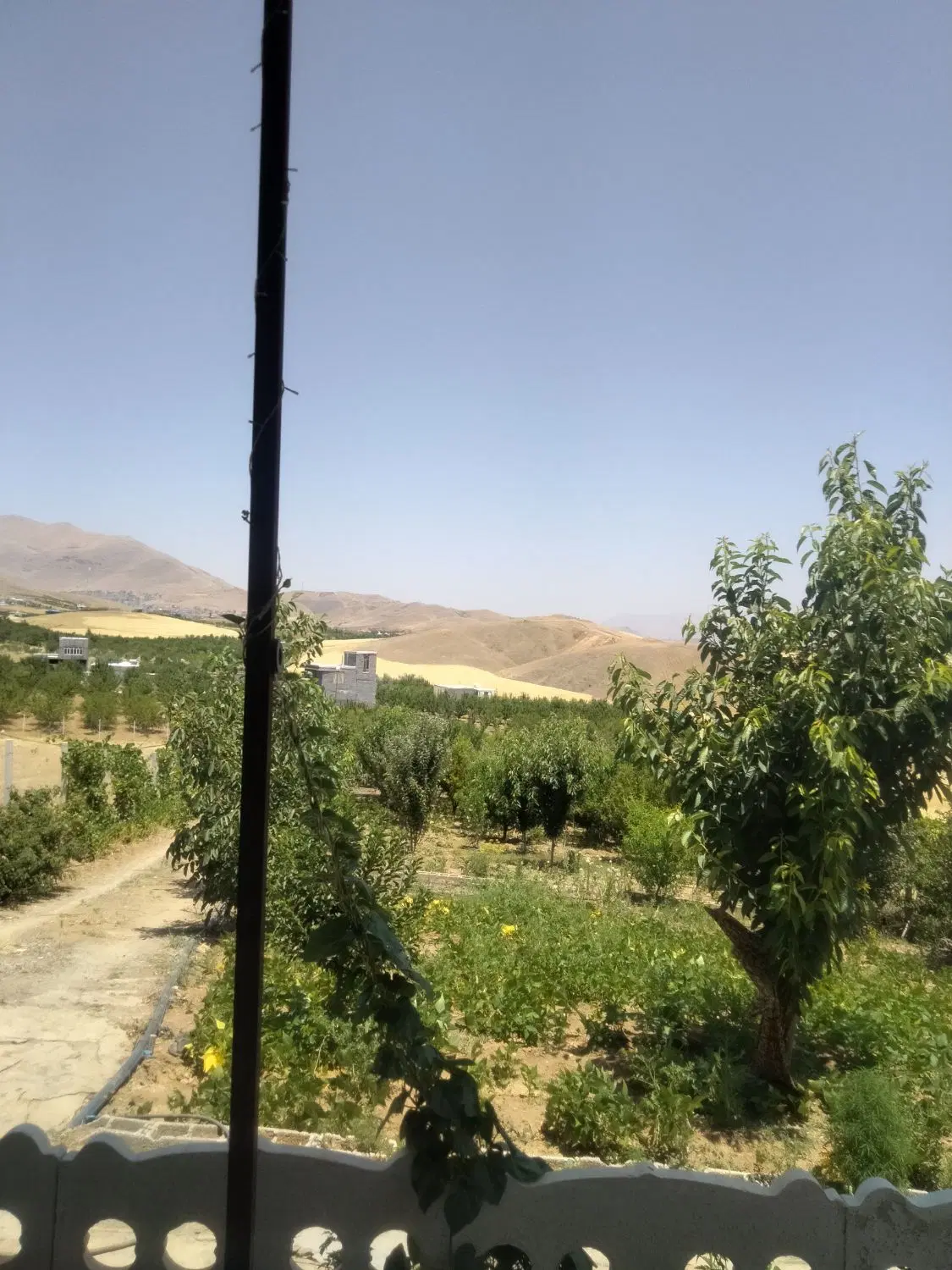 زمین
