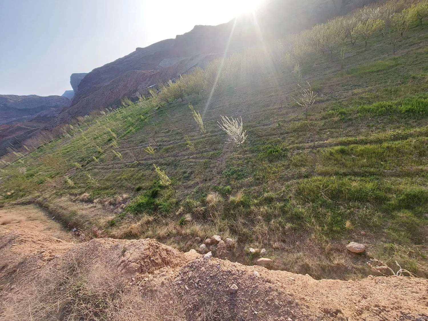 فروش زمین در روستای بیدواز منطقه پندر