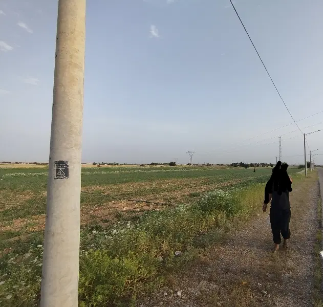 اجاره زمین کشاورزی فقط کشت پاییز