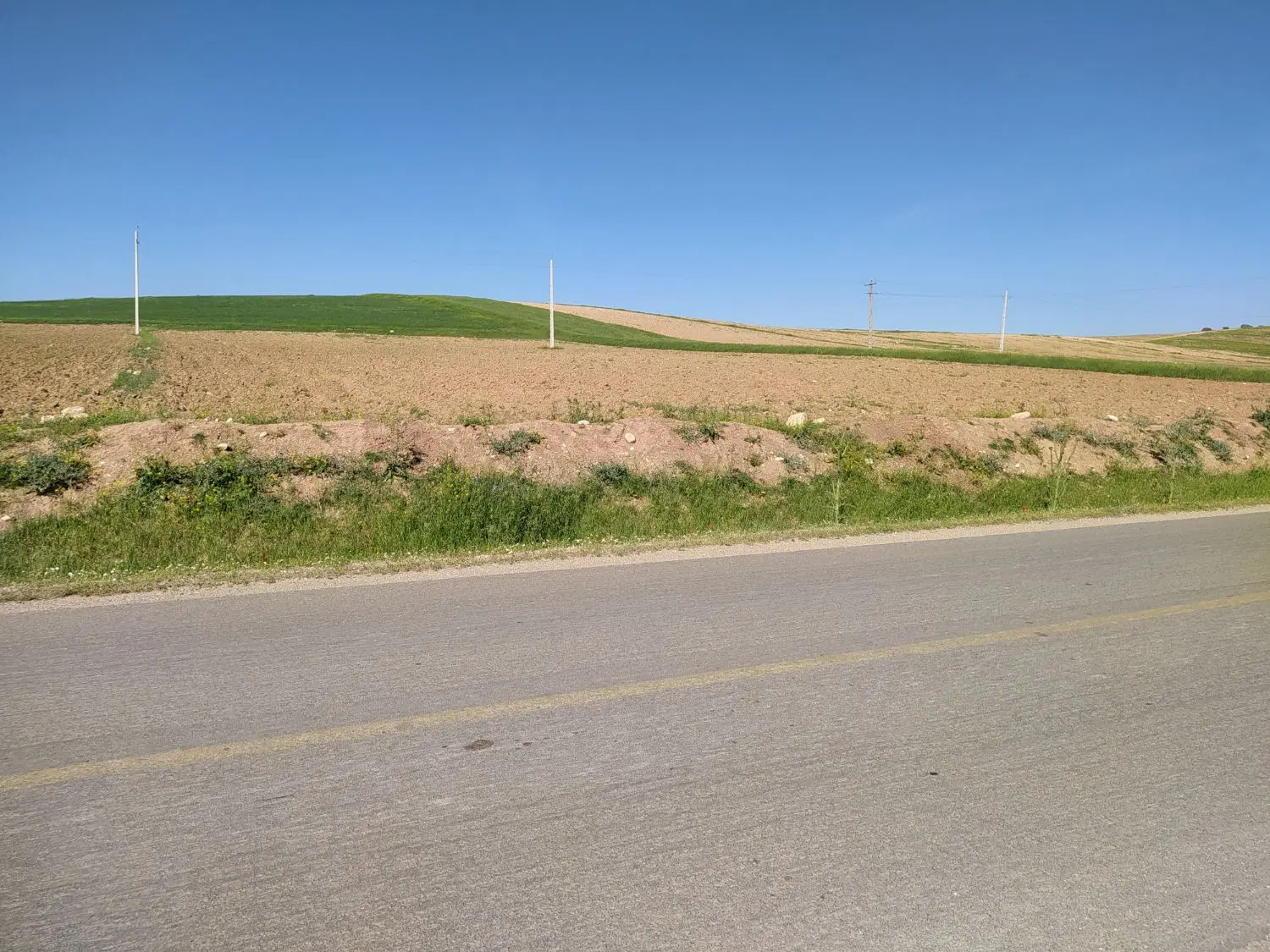 زمین کشاورزی دیم کمربندی جنوبی جاده روستایی پیرجد