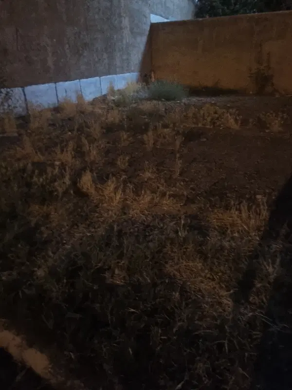 زمین بحر ازناو