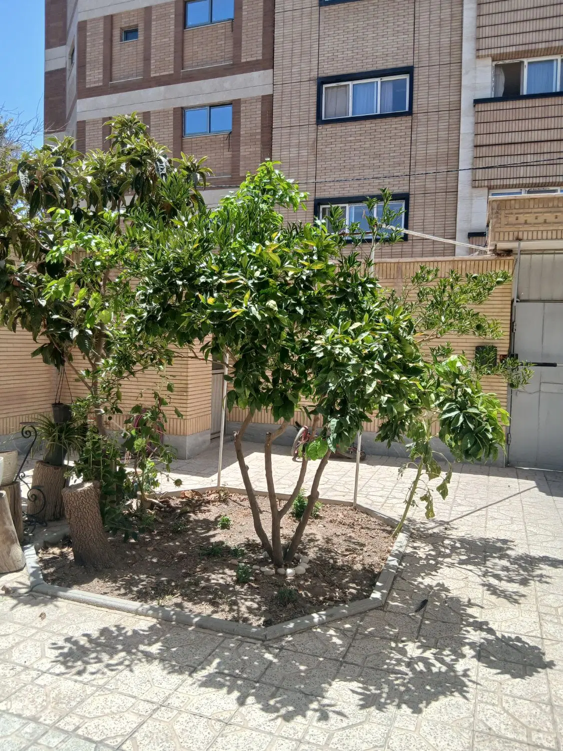 اجاره خانه