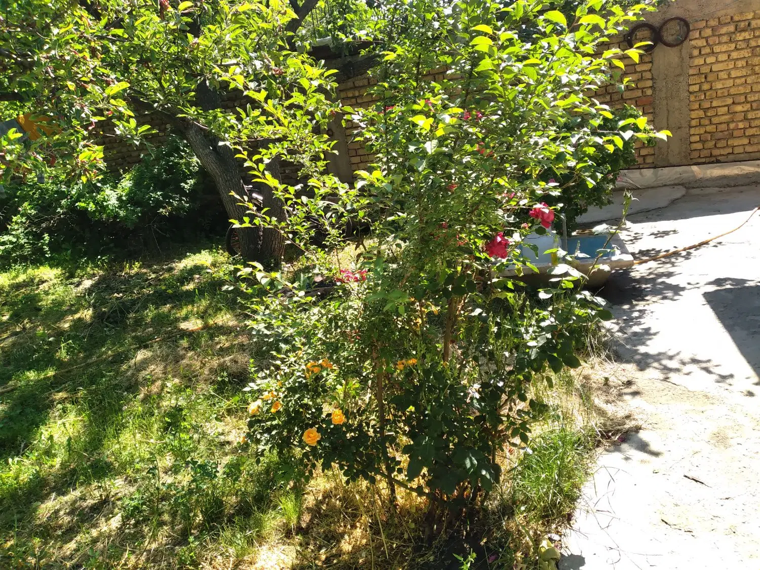 فروش خانه درخوجین