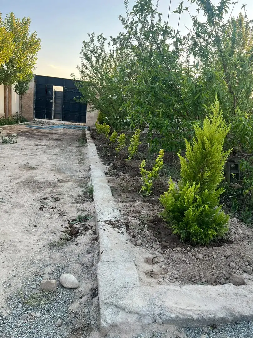 زمین در موقعیت لوکیشن خوب