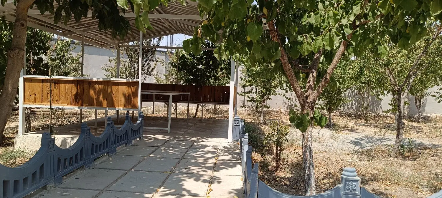 باغچه در خیابان پدم محمدشهر