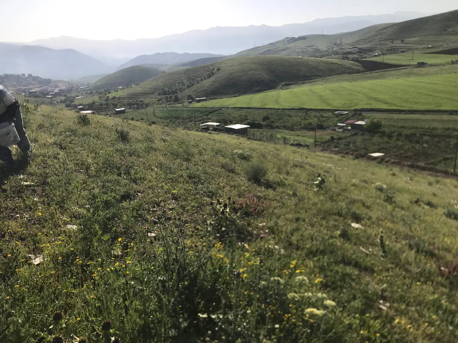 ۱۰۰۰متر زمین کشاورزی