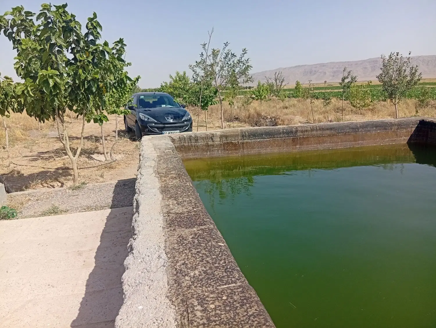 باغچه پونصد متری به آباد پنج کیلومتر قبل گلبهار