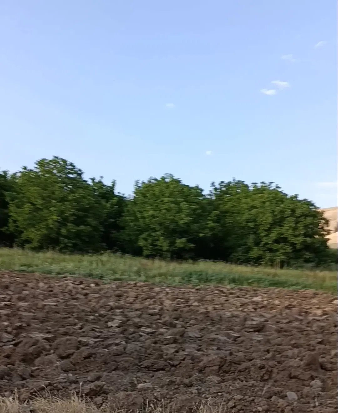 اجاره باغ گردو ،کشاورز،روستای قابانکندی