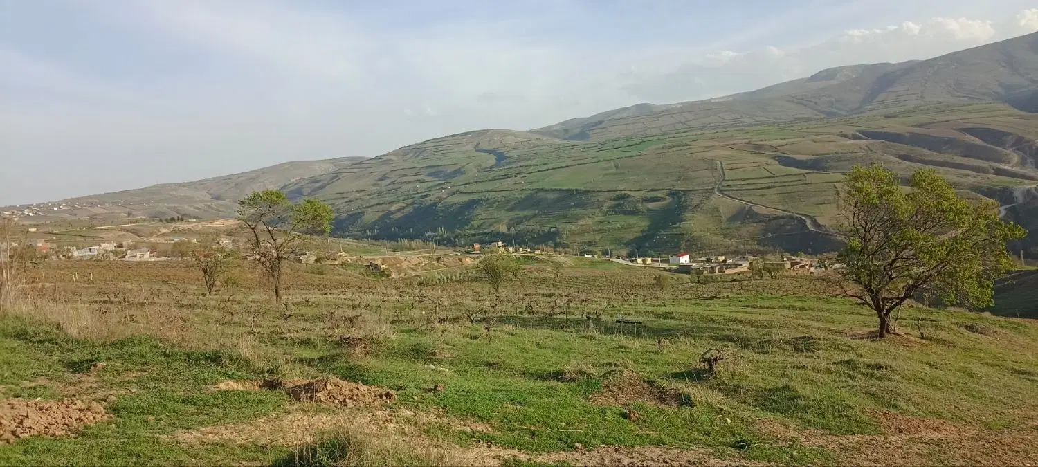 زمین ویلایی