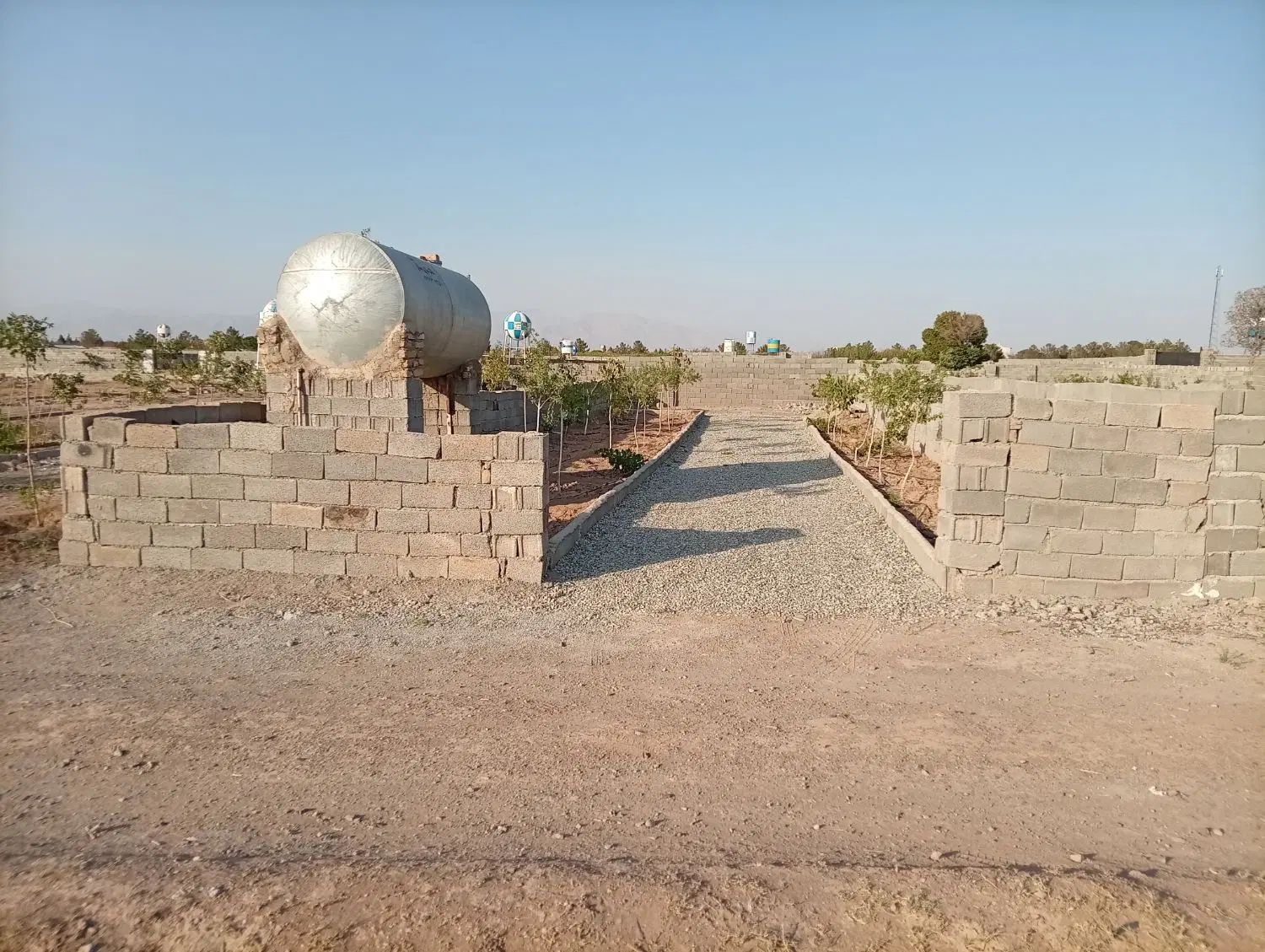باغچه نقلی در دهک صفادشت