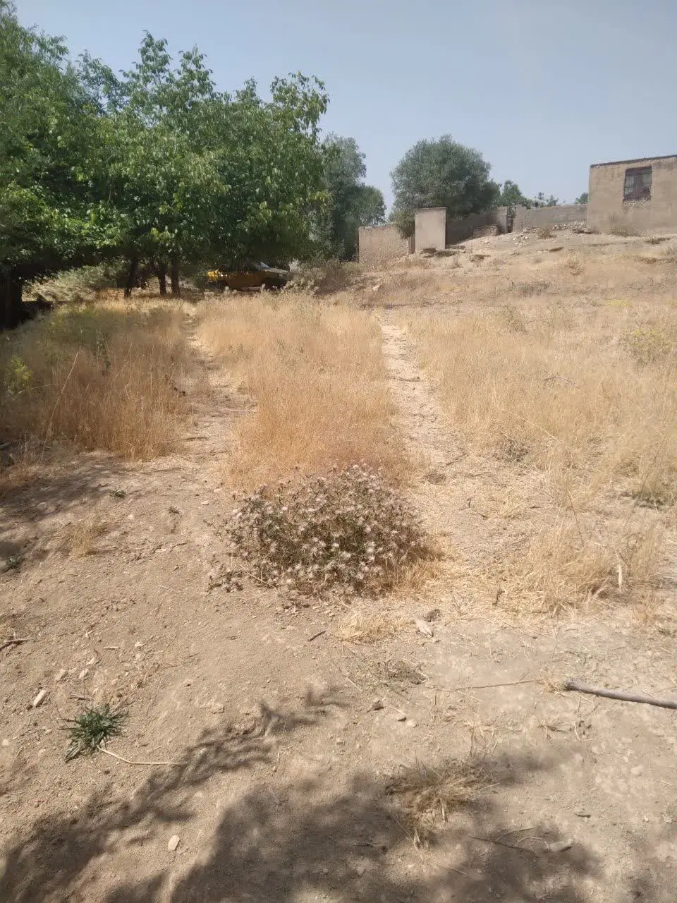 فروش زمین قابل ساخت یاسوج روستای امامزاده مختار