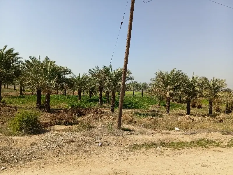 زمین نیم هتکار