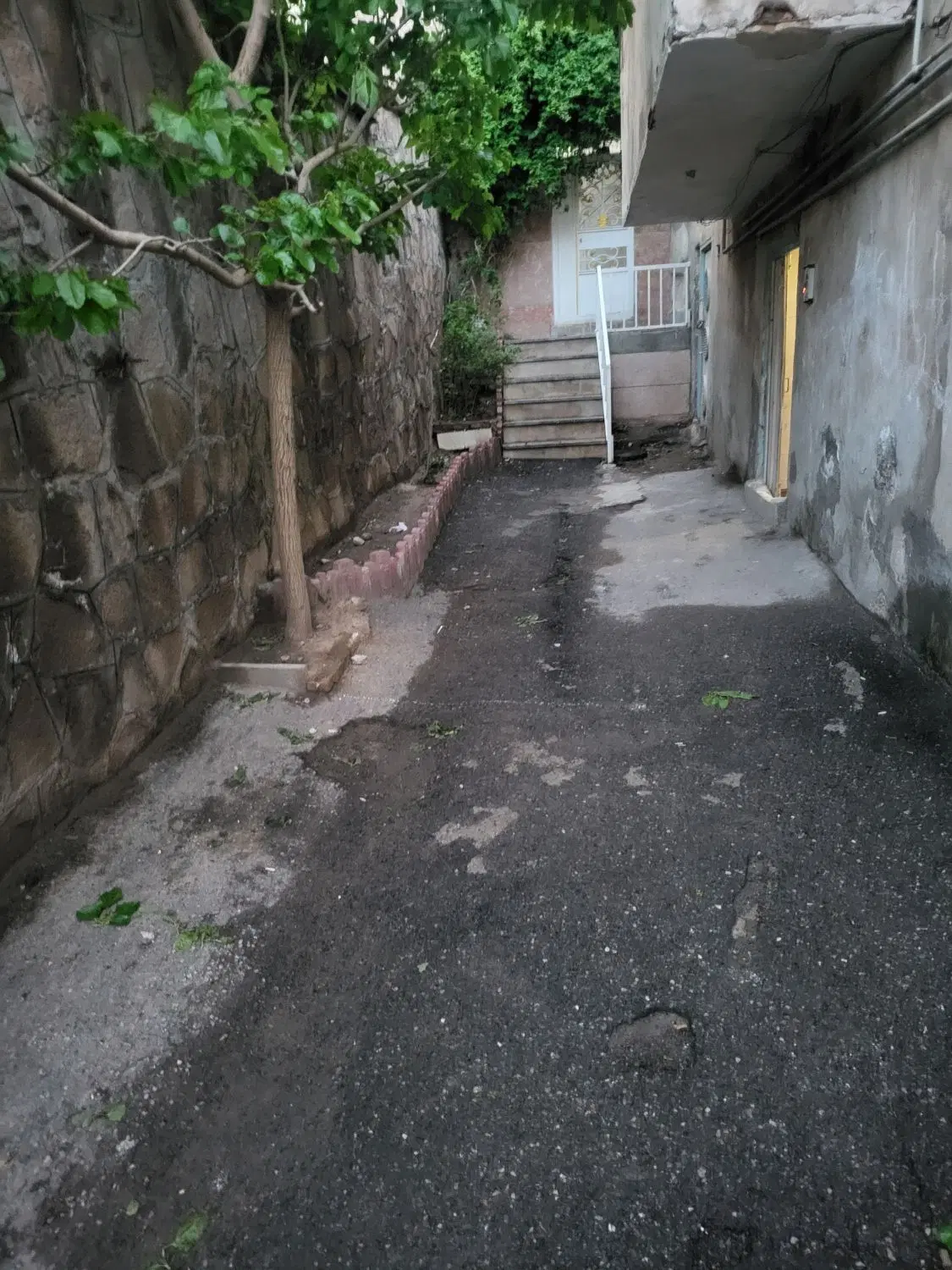 دربستی ۷۰ متر واقع در عباسی