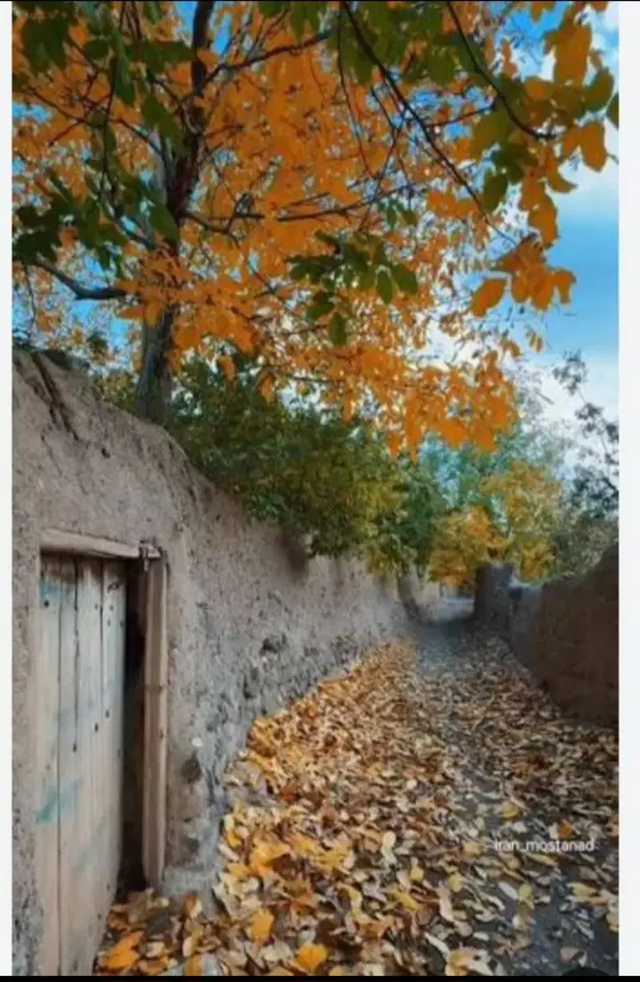 پیمانکاری ساخت باغ معاوضه با باغ مرزیجران مرزگران