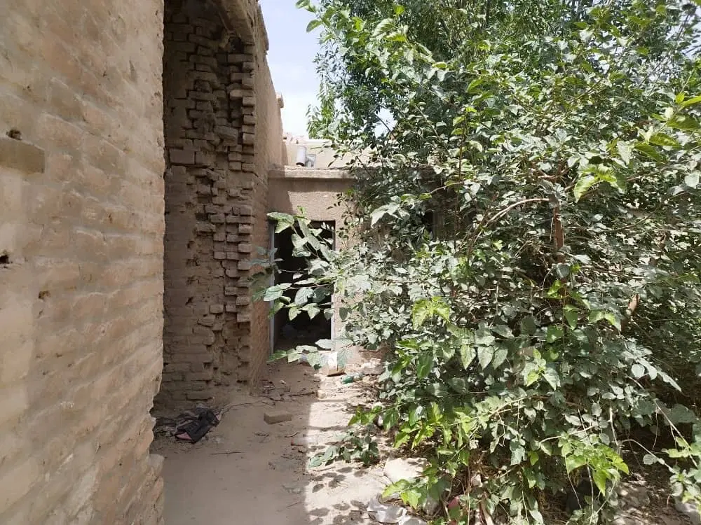 فروش باغچه ۳۰۳ متری سنددار در تنکمان