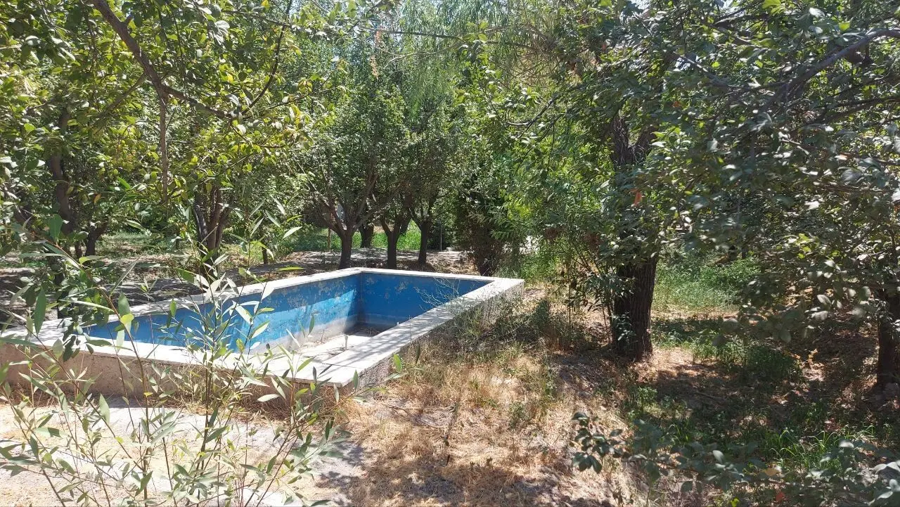 فروش باغچه