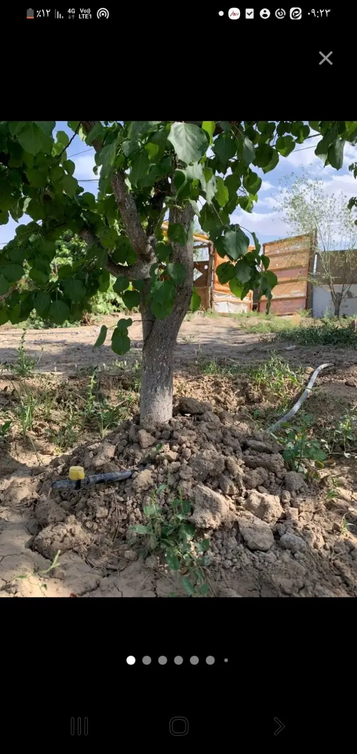 باغچه ۶۰۰متری دارای سهمیه اب هفتگی