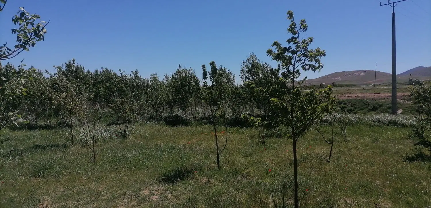 باغ سیمین زاغه