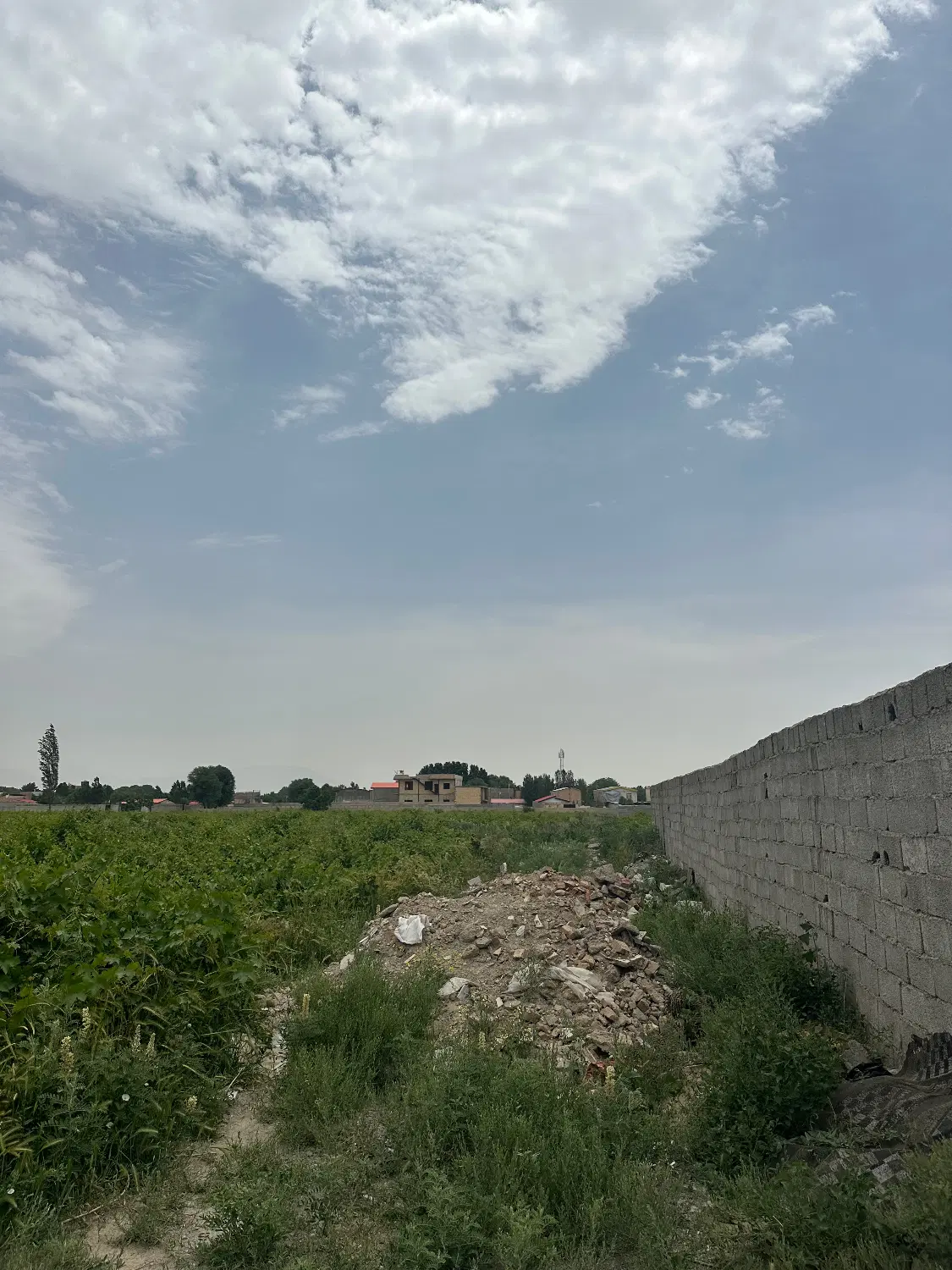 زمین باغ انگوری در چهارباغ روستای قوهه