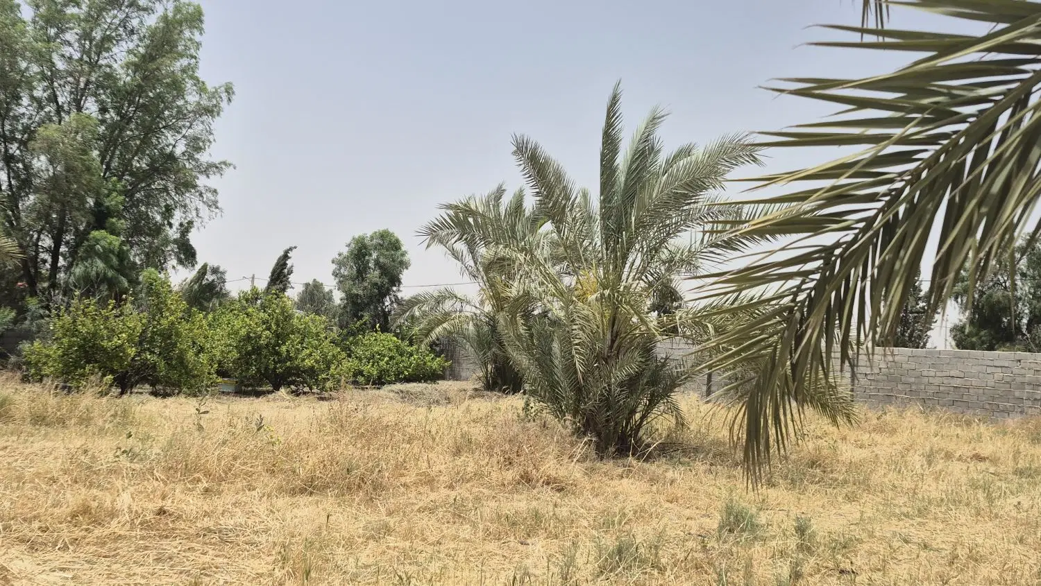 ۲ تکه زمین در شهرک مسکونی بهارستان