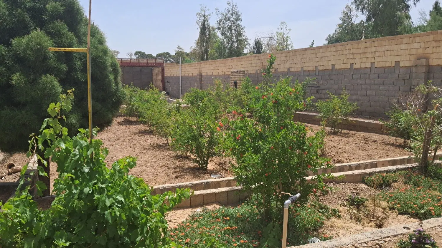 فروش تهاتر باغ ویلا خونه باغ اصغر ابادسفت کاری