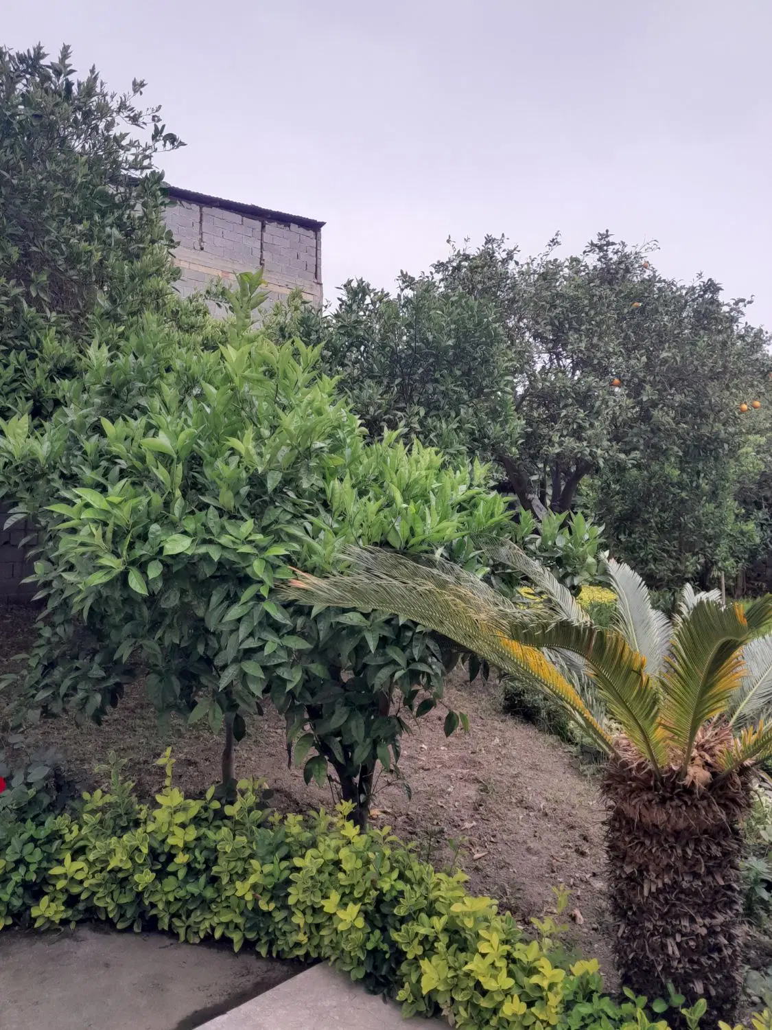 فروش زمین مسکونی با بنای قدیمی