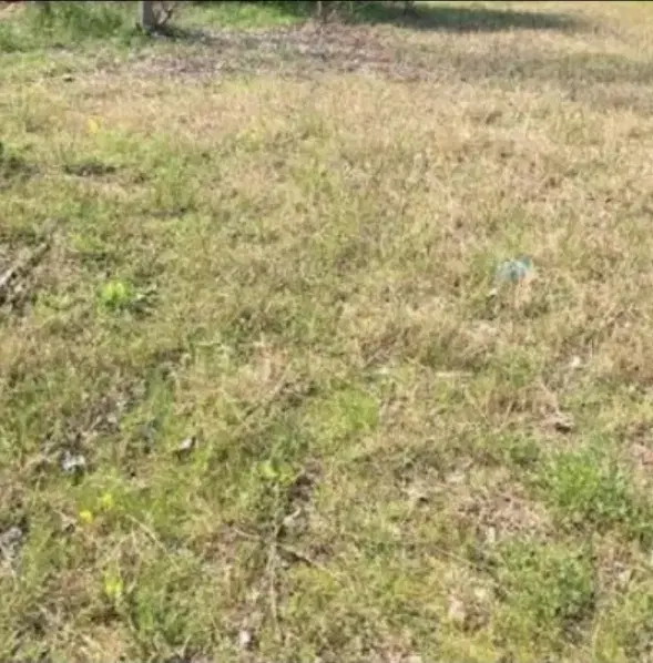 زمین 105 متری اصیل آباد