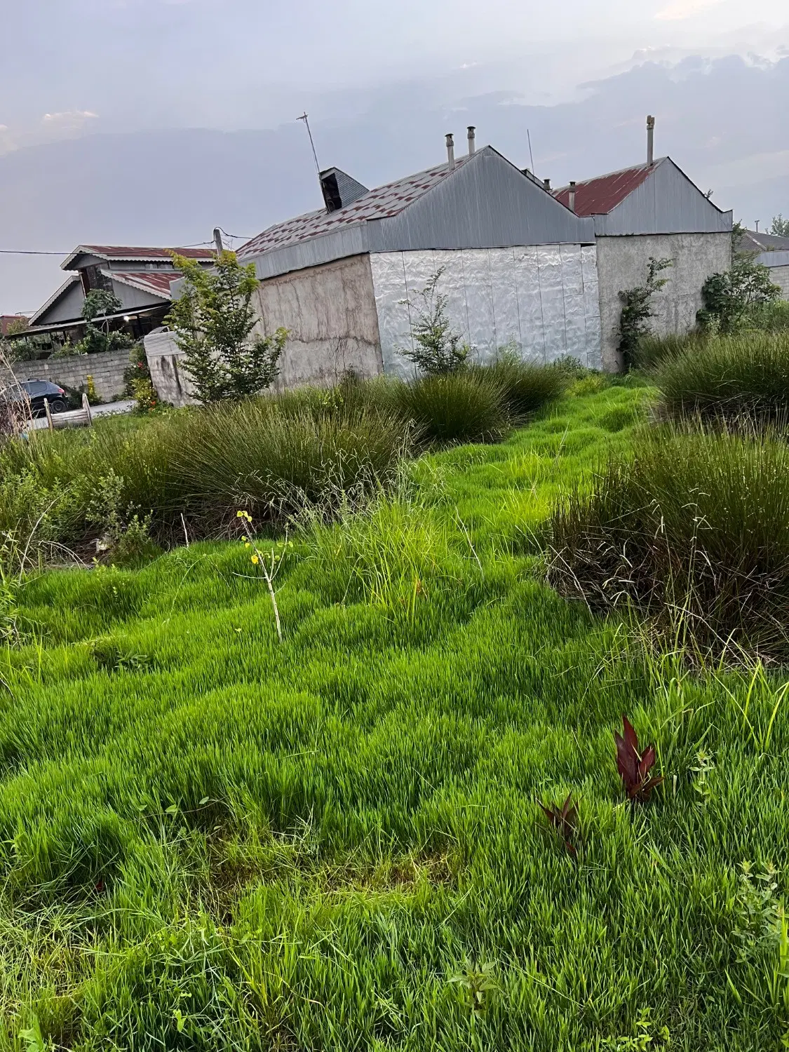 زمین شهری  سند تک برگ  دو بر