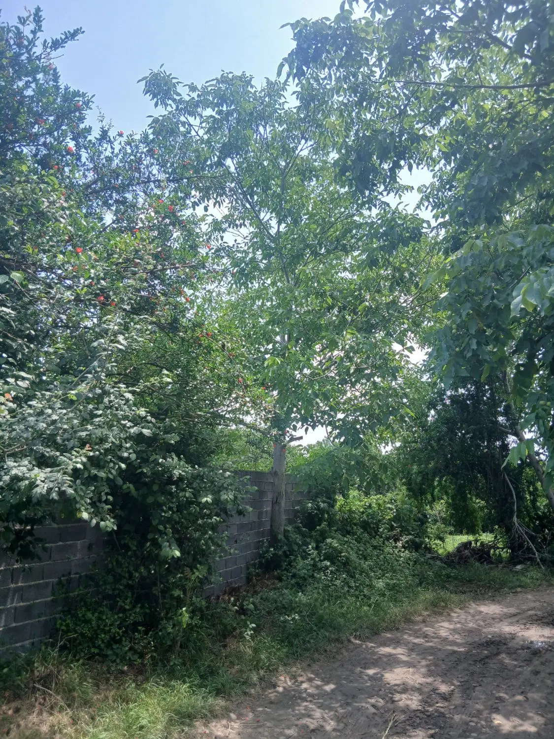 زمین فروشی