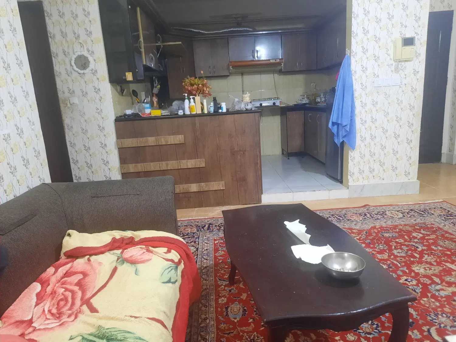 همخونه موجه