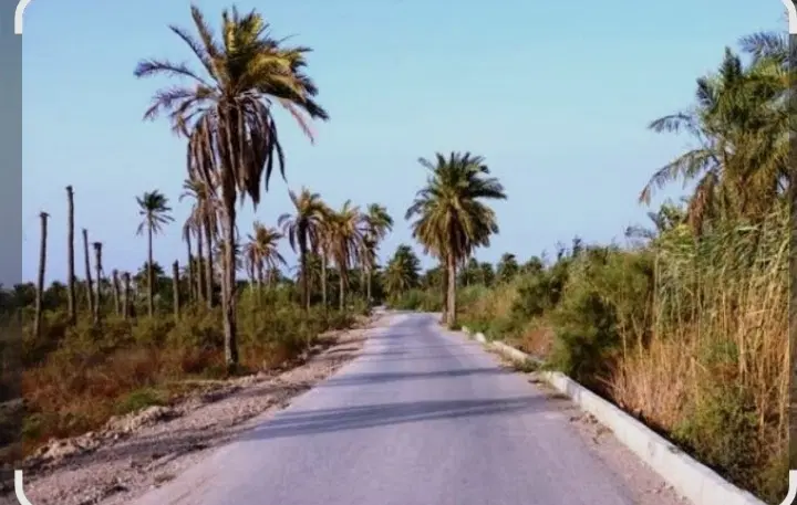 خانه فروشی