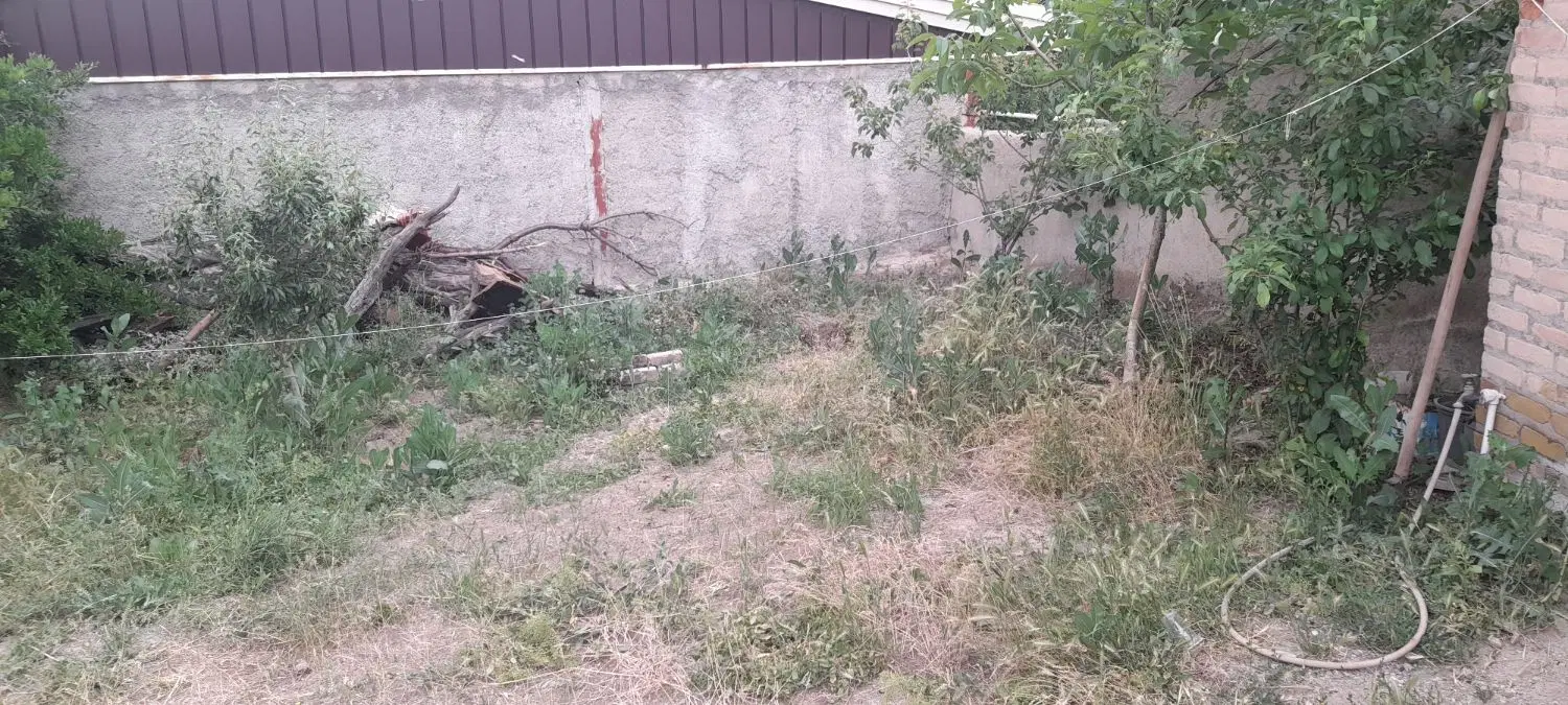 سویت فروشی در روستای خوش آب وهوای زرجه بستان